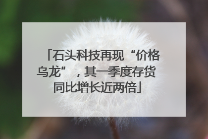 石头科技再现“价格乌龙”，其一季度存货同比增长近两倍