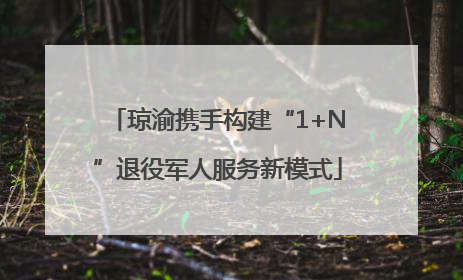 琼渝携手构建“1+N”退役军人服务新模式
