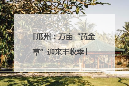 瓜州：万亩“黄金草”迎来丰收季