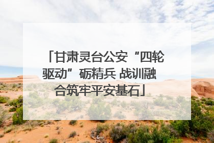 甘肃灵台公安“四轮驱动”砺精兵 战训融合筑牢平安基石