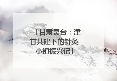 甘肃灵台：津甘共建下的针灸小镇振兴记