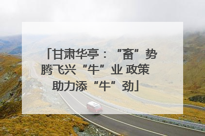 甘肃华亭：“畜”势腾飞兴“牛”业 政策助力添“牛”劲