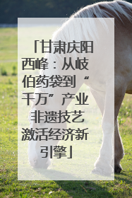 甘肃庆阳西峰：从岐伯药袋到“千万”产业 非遗技艺激活经济新引擎