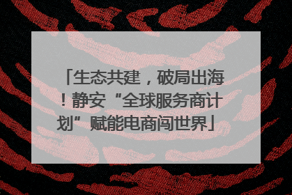 生态共建，破局出海！静安“全球服务商计划”赋能电商闯世界