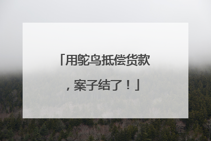 用鸵鸟抵偿货款，案子结了！