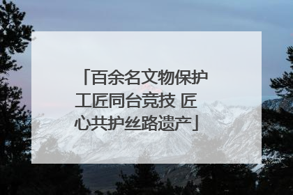 百余名文物保护工匠同台竞技 匠心共护丝路遗产