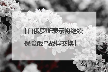 白俄罗斯表示将继续保障俄乌战俘交换