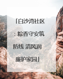 白沙湾社区：粽香守安筑防线 清风润廉护家园