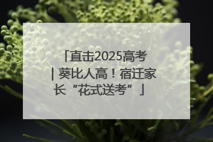 直击2025高考｜葵比人高！宿迁家长“花式送考”