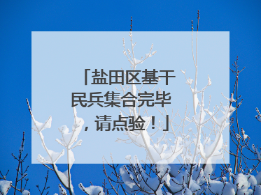 盐田区基干民兵集合完毕，请点验！