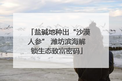 盐碱地种出“沙漠人参” 潍坊滨海解锁生态致富密码