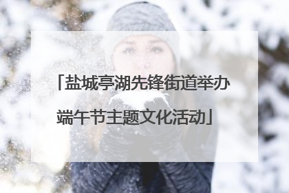 盐城亭湖先锋街道举办端午节主题文化活动