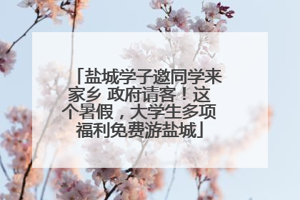 盐城学子邀同学来家乡 政府请客！这个暑假，大学生多项福利免费游盐城