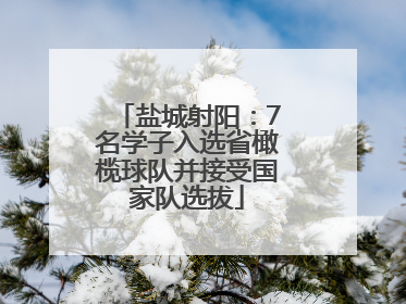 盐城射阳：7名学子入选省橄榄球队并接受国家队选拔