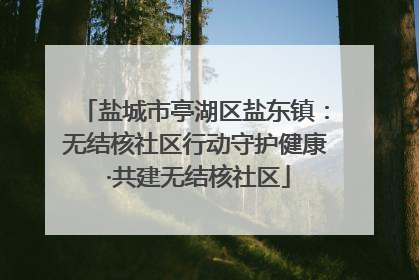 盐城市亭湖区盐东镇：无结核社区行动守护健康 ·共建无结核社区
