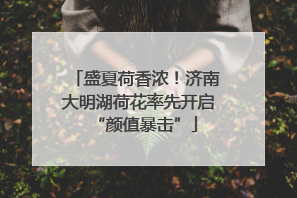 盛夏荷香浓！济南大明湖荷花率先开启“颜值暴击”