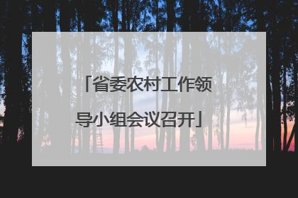 省委农村工作领导小组会议召开