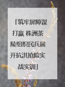 筑牢屏障谋打赢 株洲茶陵组织民兵展开抗洪抢险实战实训