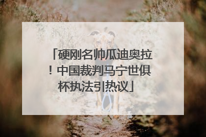 硬刚名帅瓜迪奥拉！中国裁判马宁世俱杯执法引热议