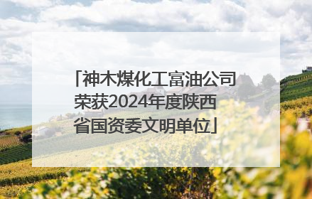 神木煤化工富油公司荣获2024年度陕西省国资委文明单位