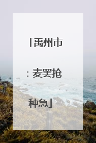 禹州市：麦罢抢种急