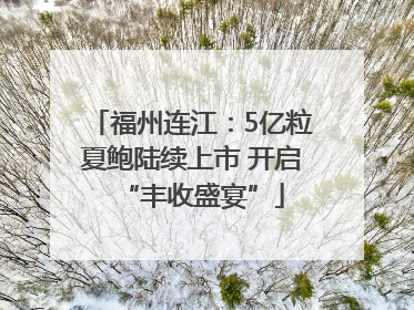 福州连江：5亿粒夏鲍陆续上市 开启“丰收盛宴”