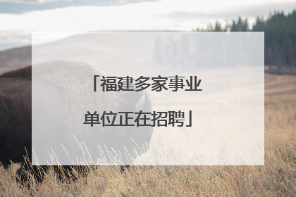 福建多家事业单位正在招聘
