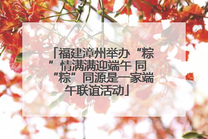 福建漳州举办“粽”情满满迎端午 同“粽”同源是一家端午联谊活动