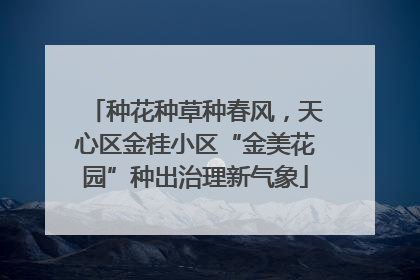 种花种草种春风，天心区金桂小区“金美花园”种出治理新气象