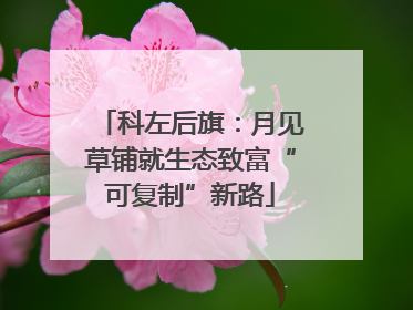 科左后旗：月见草铺就生态致富“可复制”新路