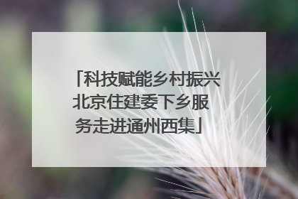 科技赋能乡村振兴 北京住建委下乡服务走进通州西集