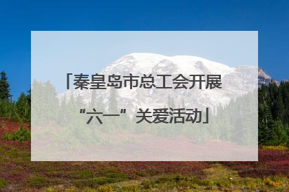 秦皇岛市总工会开展“六一”关爱活动