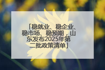 稳就业、稳企业、稳市场、稳预期，山东发布2025年第二批政策清单