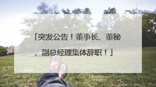 突发公告！董事长、董秘、副总经理集体辞职！