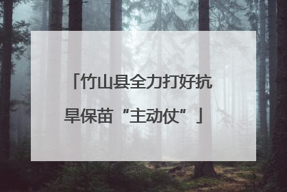 竹山县全力打好抗旱保苗“主动仗”