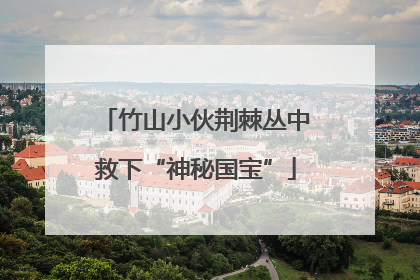 竹山小伙荆棘丛中救下“神秘国宝”