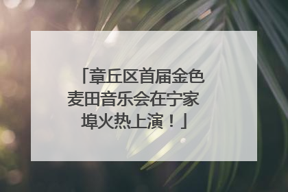 章丘区首届金色麦田音乐会在宁家埠火热上演！