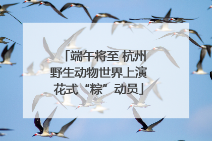 端午将至 杭州野生动物世界上演花式“粽”动员