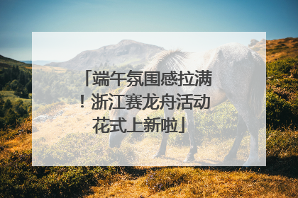 端午氛围感拉满！浙江赛龙舟活动花式上新啦