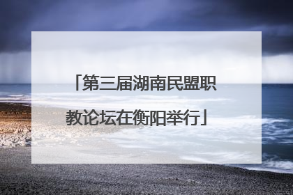 第三届湖南民盟职教论坛在衡阳举行