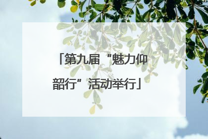第九届“魅力仰韶行”活动举行