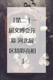 第二十一届文博会开幕 河北展区精彩亮相