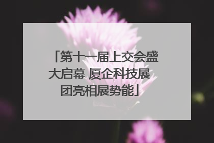 第十一届上交会盛大启幕 厦企科技展团亮相展势能