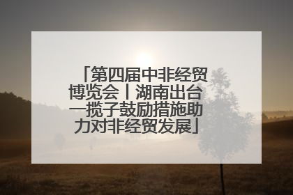 第四届中非经贸博览会丨湖南出台一揽子鼓励措施助力对非经贸发展