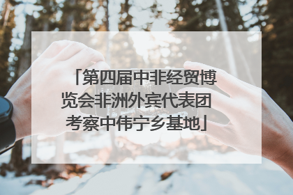第四届中非经贸博览会非洲外宾代表团考察中伟宁乡基地