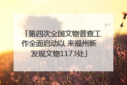 第四次全国文物普查工作全面启动以 来福州新发现文物1173处