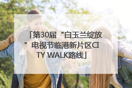 第30届“白玉兰绽放”电视节临港新片区CITY WALK路线
