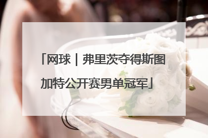 网球｜弗里茨夺得斯图加特公开赛男单冠军