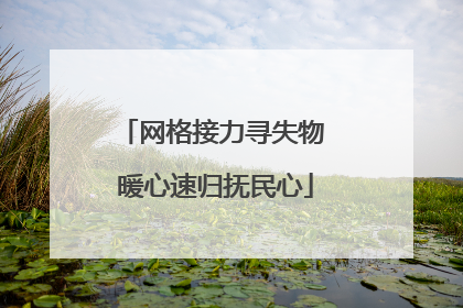 网格接力寻失物 暖心速归抚民心