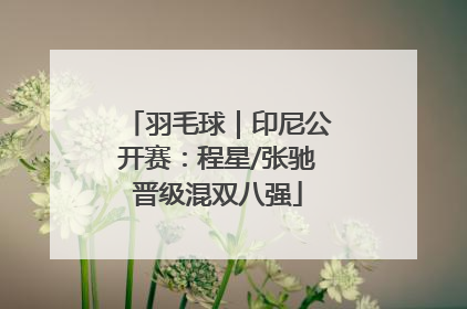 羽毛球｜印尼公开赛：程星/张驰晋级混双八强